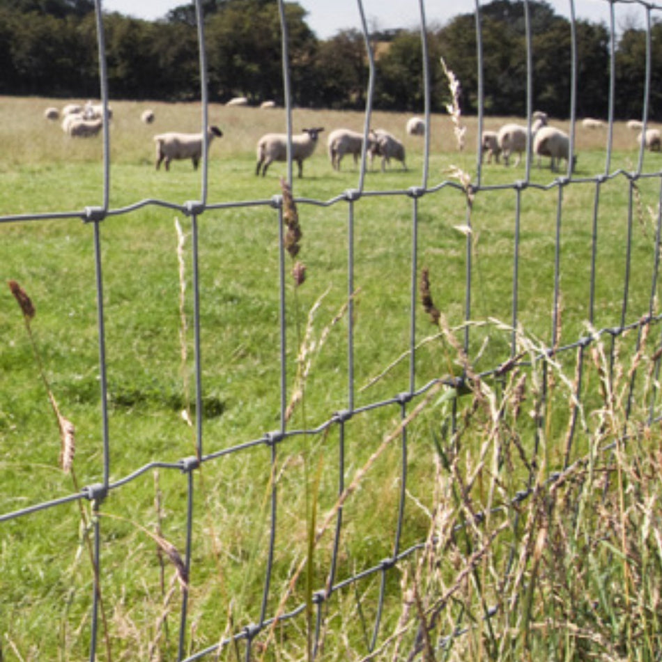 Tela Malla Ganadera Borreguera De 1.00 X 50 Mts